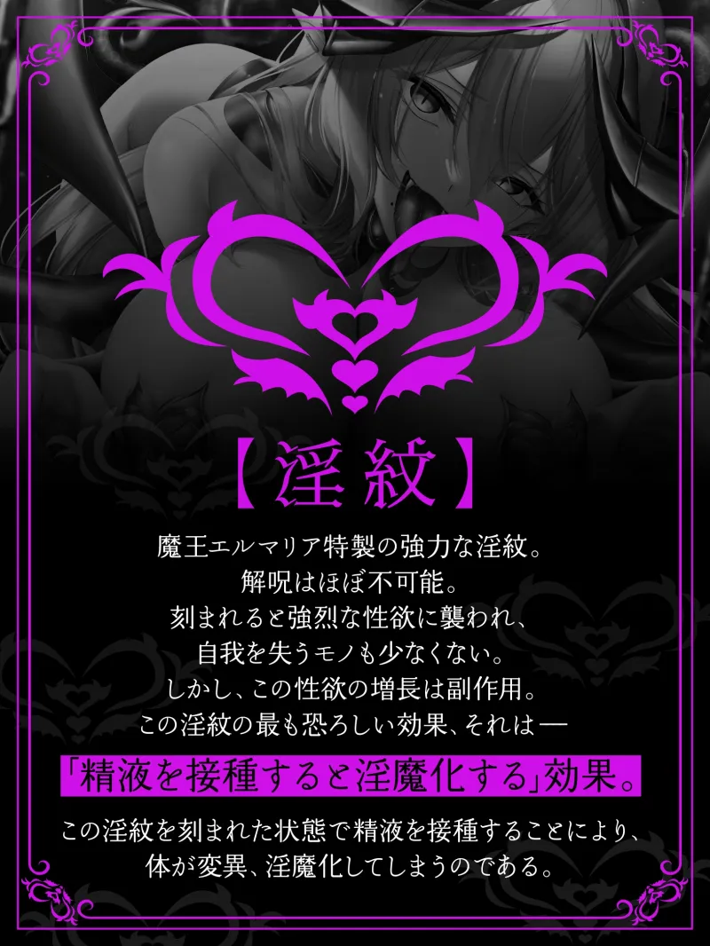 本文説明画像