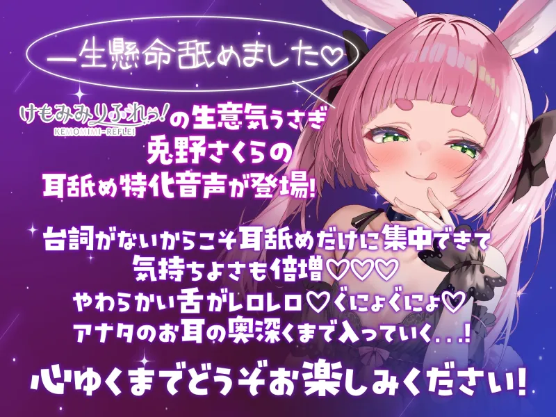 本文説明画像