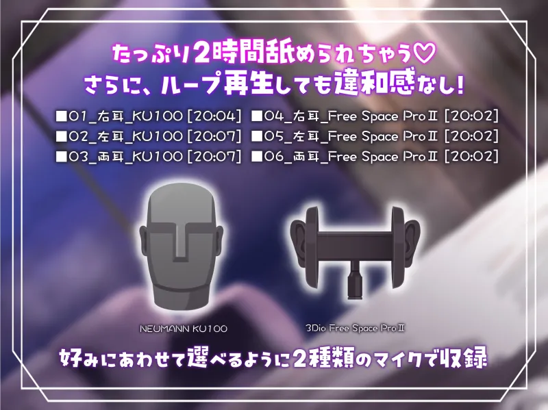 本文説明画像
