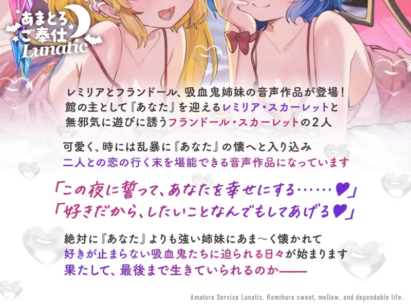 本文説明画像