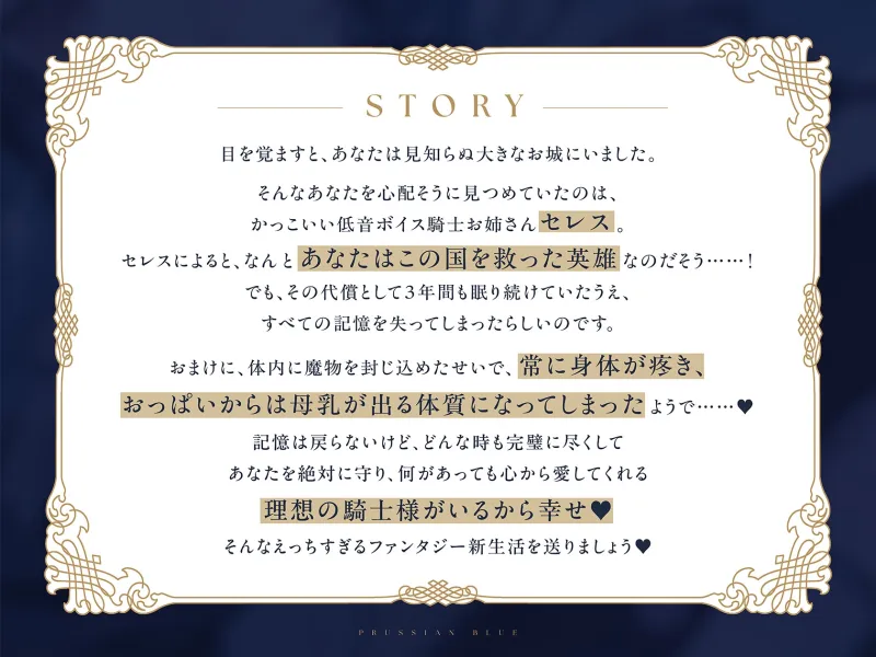 本文説明画像