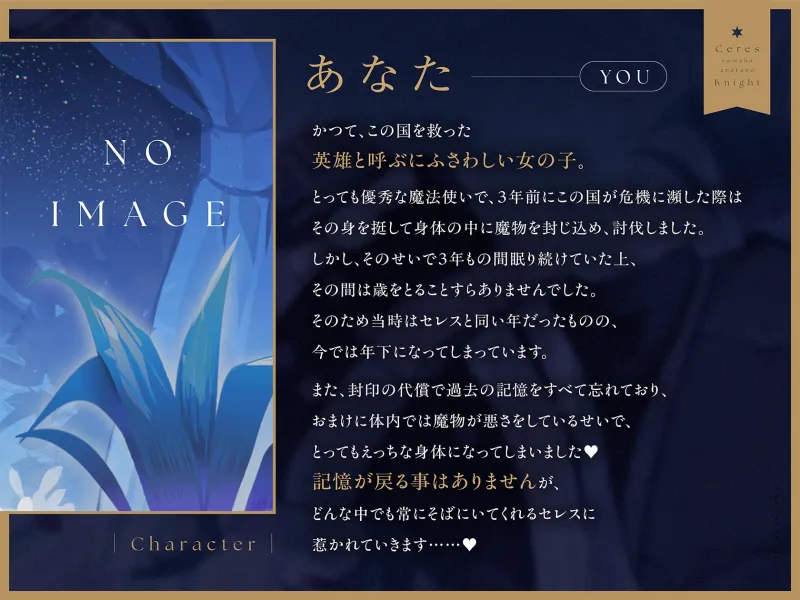 本文説明画像