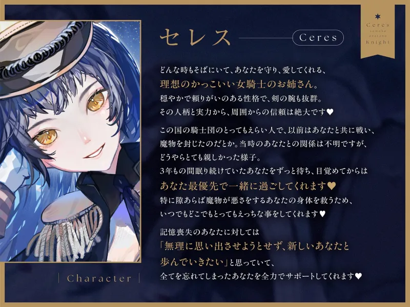 本文説明画像