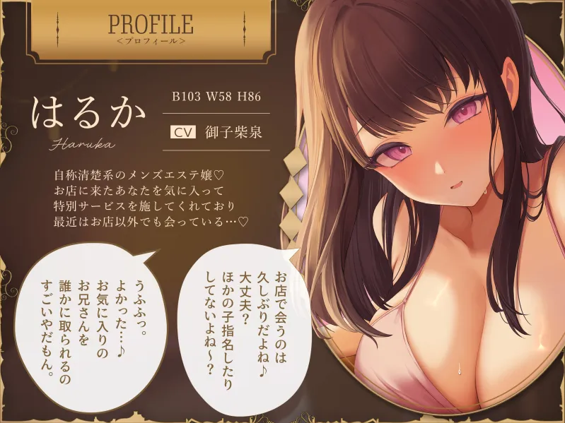 本文説明画像