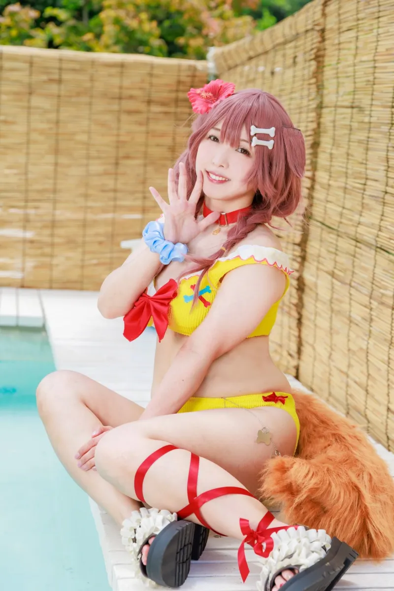 わんだふる！SUMMER