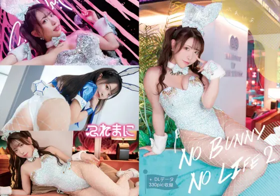 No Bunny No Life 2