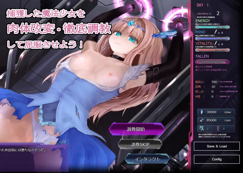 極限改変魔法少女ミスティック・ルーン 極限改変魔法少女ミスティック・ルーン