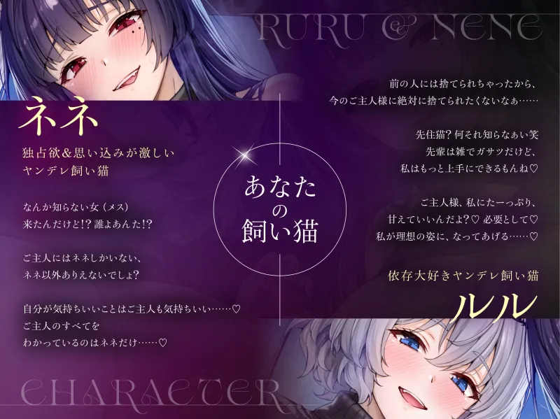 本文説明画像