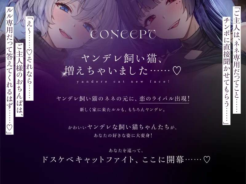 本文説明画像