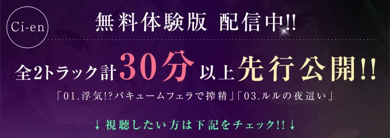 本文説明画像