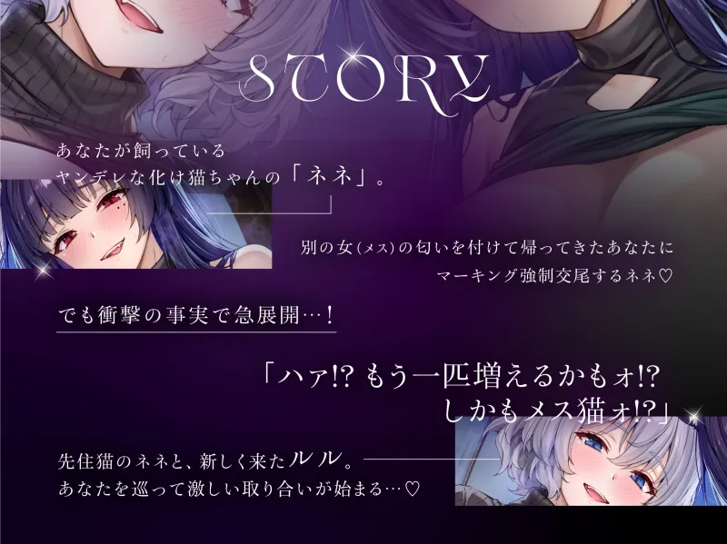 本文説明画像