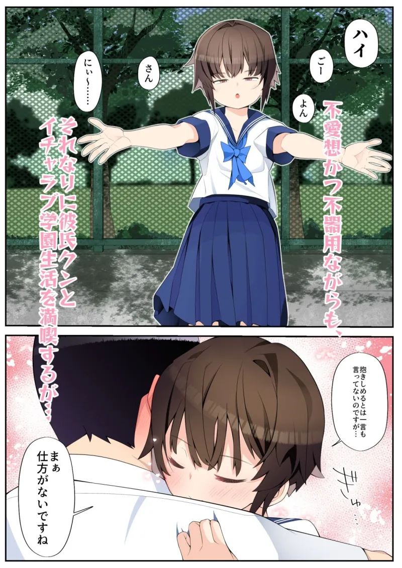 眼つきが悪くて、態度がキツくて、チビで貧乳な僕の彼女は案外寝取られる～JG2編～