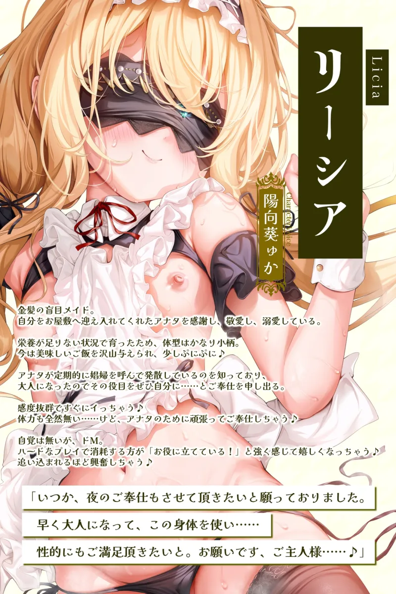 ✨金髪盲目メイドの溺愛ご奉仕✨～嫌がらずに何でもやってくれるラブ媚び癒やしの妊娠交尾～《‼️豪華4大早期購入特典‼️》