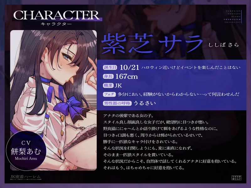 【密着フォーリーサウンド/ドスケベ事後差分イラスト】JK密着ハーレム～長乳おっぱい一匹狼JK＆ムッチリ猫かぶりJKでおちんぽ争奪戦～【KU100】