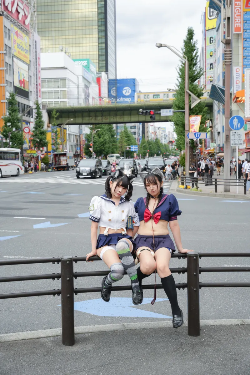 AKIBA猫猫PATROL隊出動！