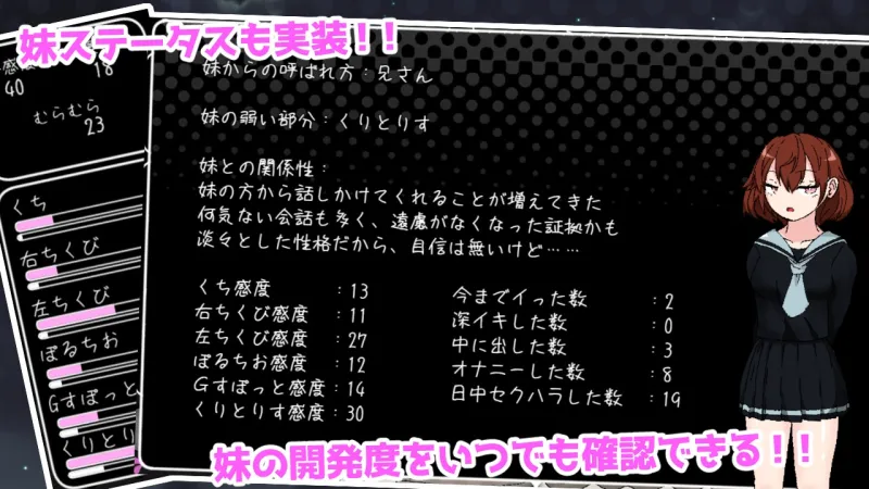 思春期妹とえっちな30日間