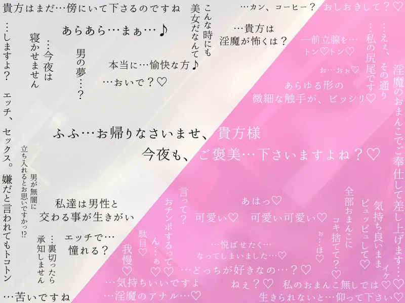 白銀の淫魔 あなたが助けた絶世の美女はエッチで優しい良妻賢母なおまんこ淫魔でした