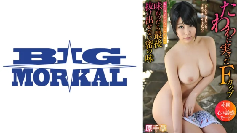 たわわに実ったFカップ 味わったら最後 抜け出せない密の味 原千草