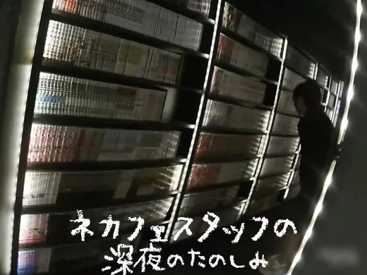 ネカフェスタッフの深夜の楽しみ　～美形お姉さんの慣れ過ぎたテコキ～