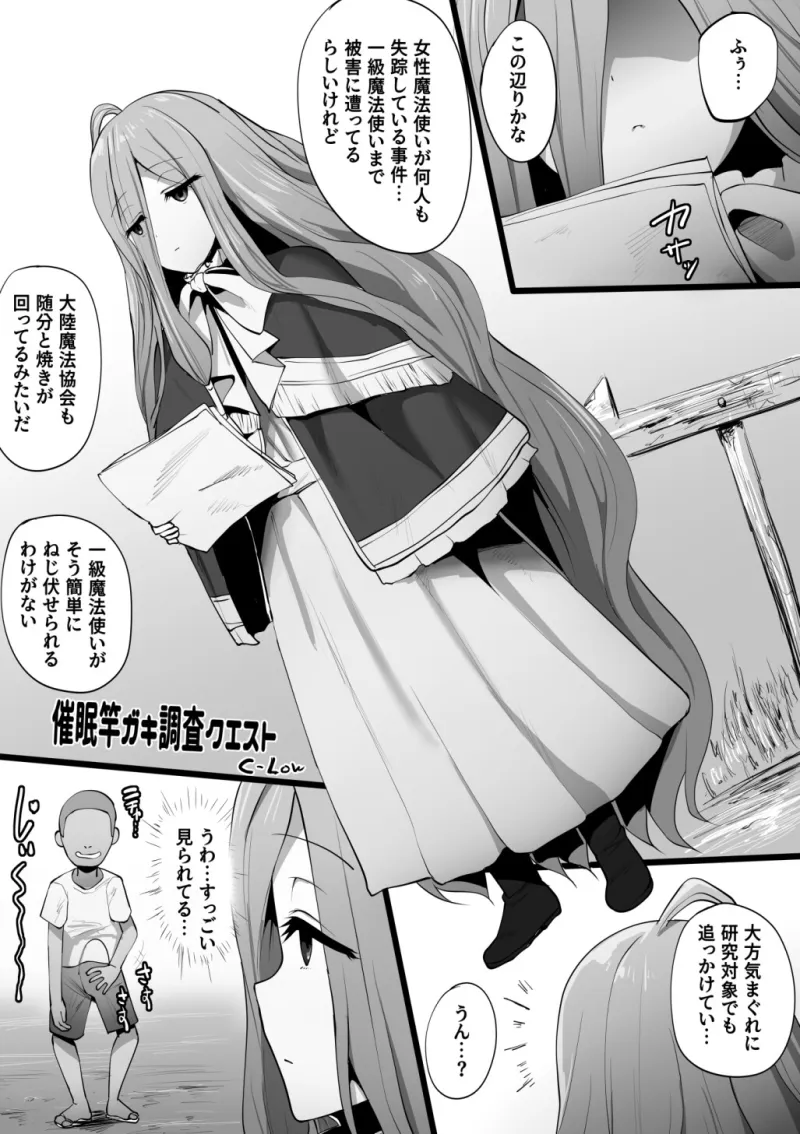 フリーレンとなんでも調査依頼